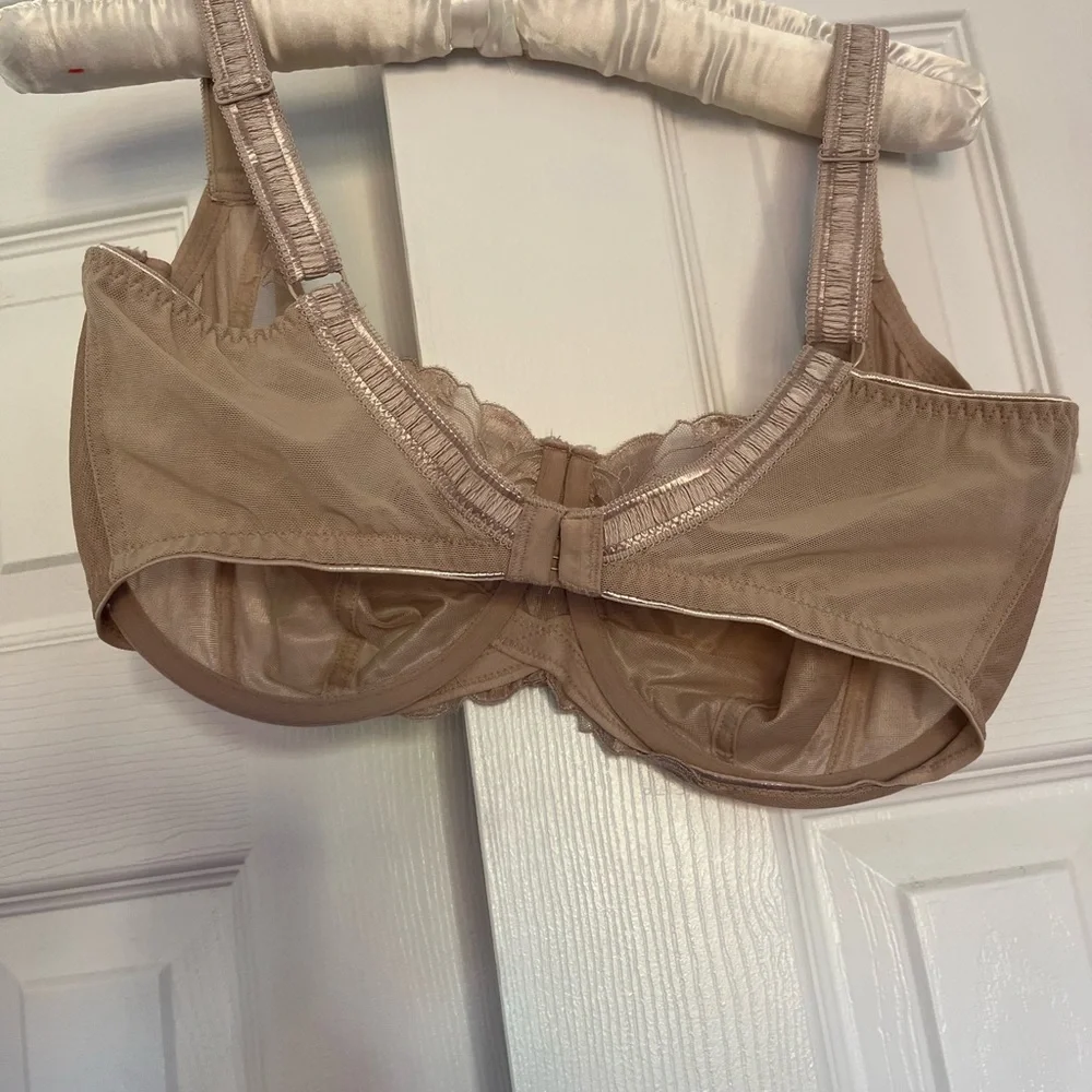 Panache Dahlia in nude side 36G stunning and very hard to find - Picture 7 of 7